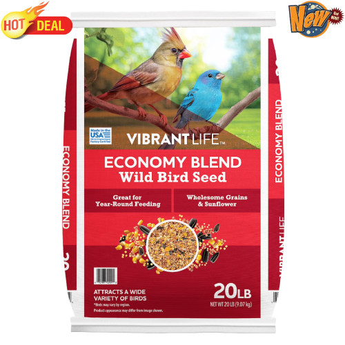 Economy blend wild bird - economy,